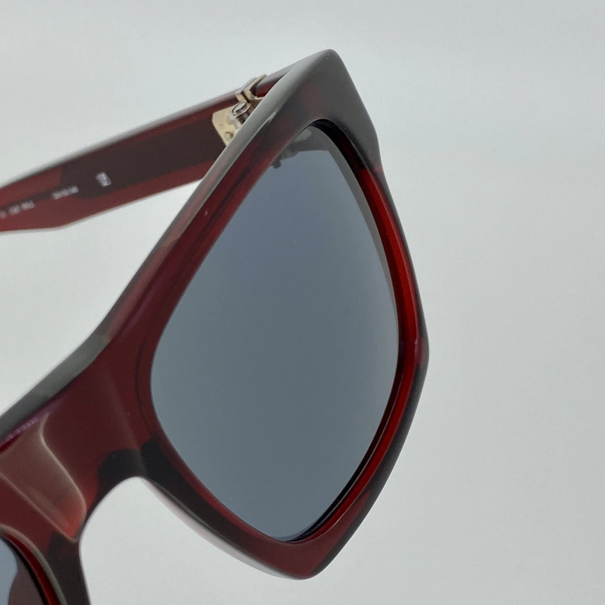 Ann Demeulemeester Sunglasses D-Frame Bordeaux Red and Blue - Image 12